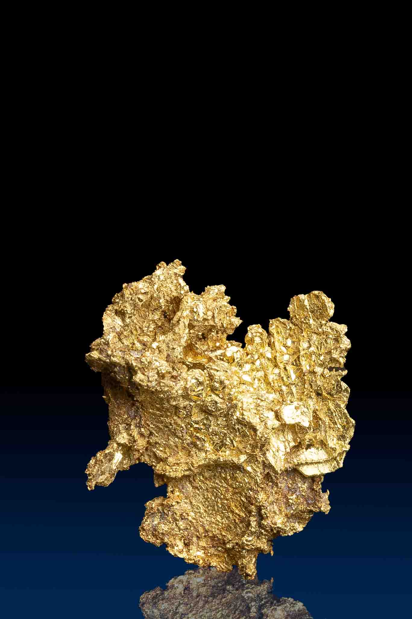 (image for) Impressive Rare Natural Crystallized Gold Specimen - Farncomb Hill, CO